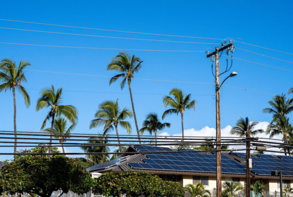 A condo building roof covered in solar panels sits behind utility power distribution lines and is surrounded by palm trees.