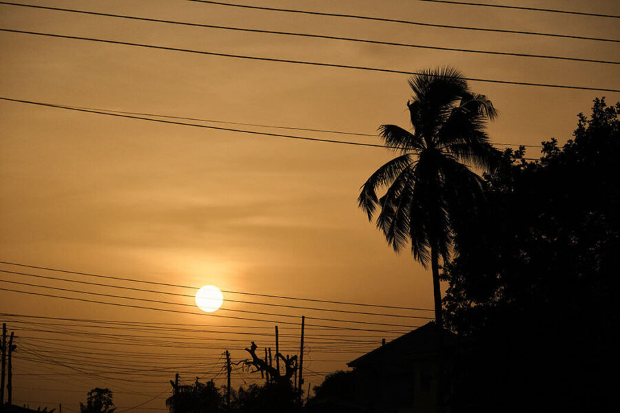 Silhouette of low setting sun framed with electricity wires and palm trees.